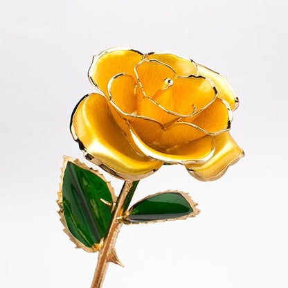 Ewige Gold-Rose