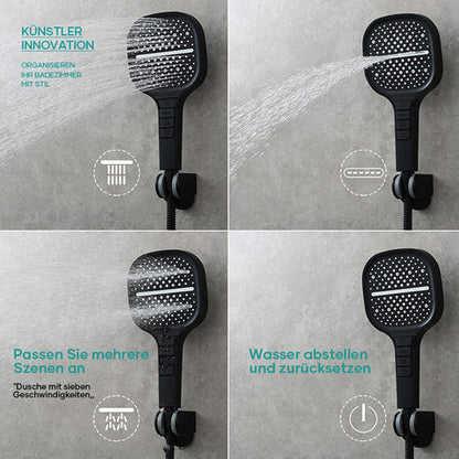 Wellness Regen Handbrause