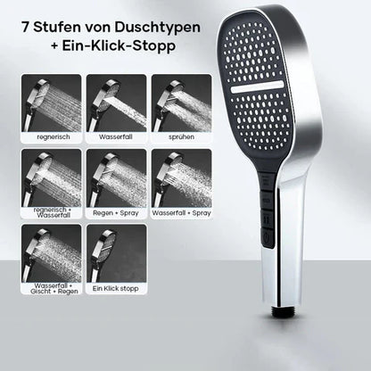 Wellness Regen Handbrause